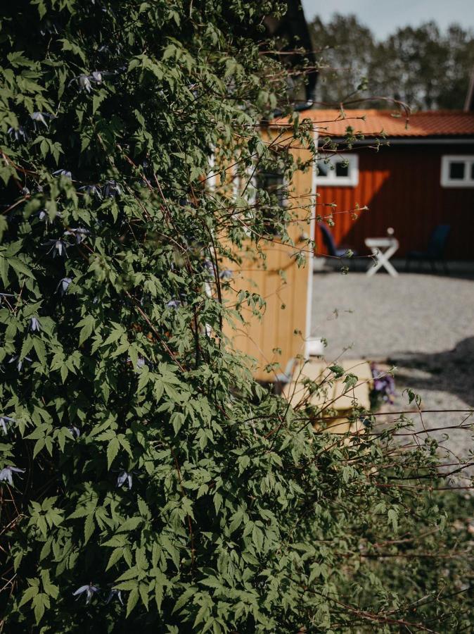 Вілла En Lantlig Idyll Med Skogen Precis Utanfoer Doerren! Улларед Екстер'єр фото
