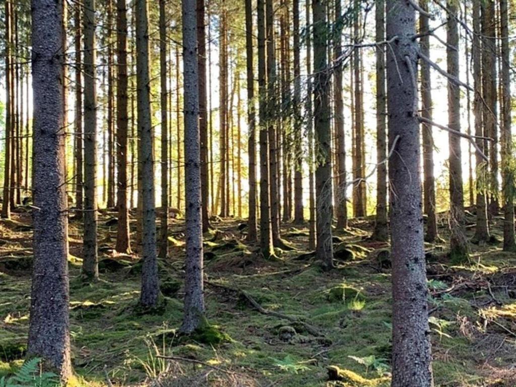 Вілла En Lantlig Idyll Med Skogen Precis Utanfoer Doerren! Улларед Екстер'єр фото